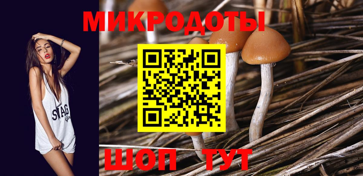 Галлюциногенные грибы Magic Shrooms Грозный